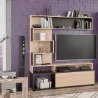 Стінка Меблі-Сервіс "Феррара"(стінка ТБ) венге темний\ясен світлий