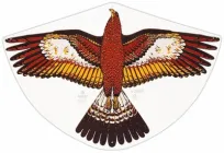 Повітряний змій Paul Gunther GOLDADLER ОРЕЛ (1180)