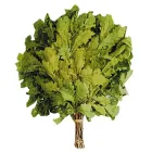 Віник для лазні дубовий