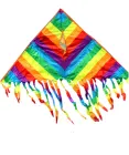 Повітряний змій Райдужний з бахромою Fortune Kite 118х56 см (1404)