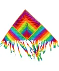 Повітряний змій Райдужний з бахромою Fortune Kite 155х67 см (1405)