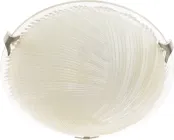 Світильник настінно-стельовий Brille PK-027/2 (187140)