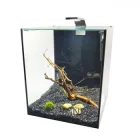 Акваріумний комплект Akvas 30л для самостійного запуску