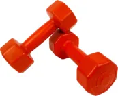 Гантелі для фітнесу Neo Sport 1 кг 2 шт (NS1KGX2)