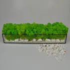 Скляне кашпо з мохом Artis Green салатовий G24