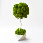 Декоративне дерево, топіари Artis Green зі стабілізованим мохом Fresh Tree, 30 cm T11