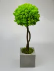 Яскраве декоративне дерево з мохом, топіари Artis Green салатова Т19
