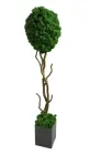 Декоративне дерево, топіари Artis Green з стабілізованого моху 90 см T9
