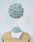Декоративне дерево, топіари з справжнім мохом Fresh Sky, 30 cm T27
