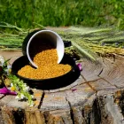 Гірчиця насіння 100 р.