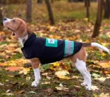 Жилетка для собак DogClub Sven S Black-Green