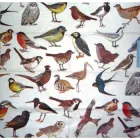 Серветка для декупажу Idea Home Range Пташиний базар (674)