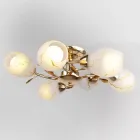 Стельова люстра на 6 плафонів LK-459S/6 E27 G Brille L67-216