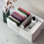 Ящик для зберігання на два відділення HY-2V-white (Білий)