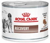 Вологий корм для дорослих собак Royal Canin Veterinary Recovery (паштет) 195 г (9003579307717) (40550021)