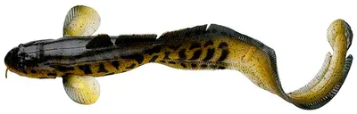 Силікон Savage Gear 3D Burbot FS 250 mm 75 g 01-Burbot (18540377)