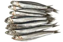 Сардина свіжоморожена, +- 12см, 1кг