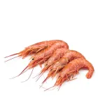 Креветка лангустин L1 з головою 10/20 шт/кг 2 кг в упаковці