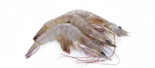 Креветка Ваннамей 80\100, свіжеморожена , з головою, в панцирі 1 кг