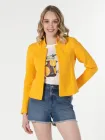 Піджак жіночий