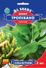 Банан Тропікано насіння (3 шт), Collection, TM GL Seeds