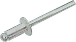 Заклепка з пласкою головкою ISO15977 2,4х10 Al/St 6-8 Steelfix 100 шт (051982)