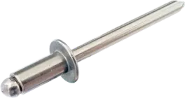 Заклепка з пласкою головкою ISO15983 5х12 А2/А2 6-8 Steelfix 15 шт (052415)