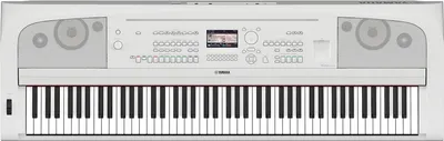 Синтезатор Yamaha DGX-670 White