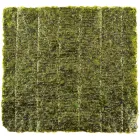 Водорості Норі Gold 10 листів