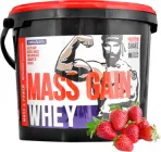 Гейнер Megabol Whey Mass Gain 3000 г Полуниця (5907582338161)