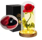 Троянда в колбі з LED підсвічуванням I Love you 21 см червона 0367