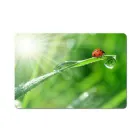 Килимок для миші Esperanza Mousepad mixed EA133 235x195х4мм