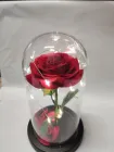 Декоративна троянда в колбі з підсвічуванням колір Червоний (1610RZCC3) TIN66