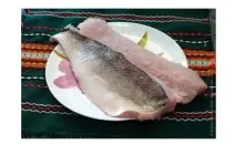 Філе судака, с/м, вакум по 0,7 - 1,2 кг (вагове)
