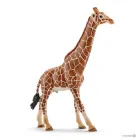 Жираф самець Schleich 14749