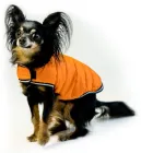Курточка-накидка для собак Airy Vest, XXS, B 29-36 см, С 14-20 см, Помаранчева (15404Collar)