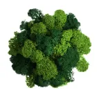 Стабілізований мох Ягель мікс (зелений, салатовий) 100 грам