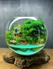 Флораріум з деревом Бонсай Будинок біля водойми 22х18 см (12780)