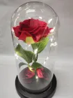 Вічна троянда в колбі з підсвічуванням Червоний (SH774472)