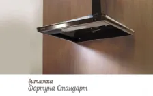 Витяжка кухонна ProfitM Фортуна Стандарт 50см 200м3 Коричнева