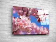 Картина на склі "Гілки сакури" 60х40см
