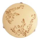 Світильник настінно-стельовий Vesta Light (24160)