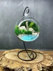 Флораріум у підвісній кулі Легкість 12х23 см