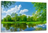 Картина на полотні у вітальню/спальню Природа MLP_87 ( 30х60 см)