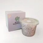 Біоінсектицид MYCO GUARDIAN Beauveria bassiana 0,5 л