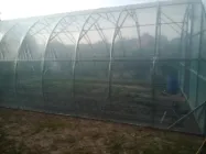 Теплиця "Західна-5х20" 5х20х3м с плівкою 150 мкм + зигзаг профіль