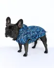 Одяг для собак дощовик "UMYKO" SKU 00674. Розмір XL. Your Stylish Hunter. Дощовик жилет для французького бульдога, мопса, спаніеля, корги, амбуллі, бігля та інших порід собак.