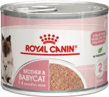 Вологий корм для вагітної/годуючої кішки та кошенят Royal Canin Mother & Babycat Cans 195 г (9003579311660) (4098002)