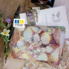 Комплект листівок JaneB Весна в кролячій норі