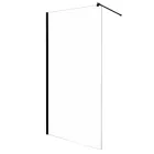 Стінка скляна для душу із тримачем 200x120см BRAVO LEGA 120BТ скло прозоре 8мм 000026941